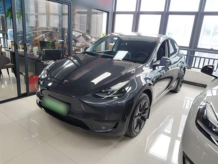 Tesla Model Y 2024 2024款 后轮驱动版