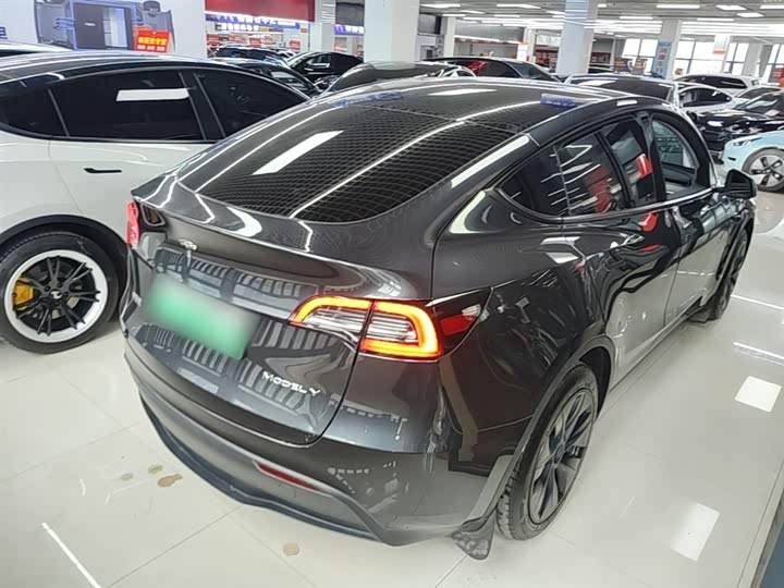 Tesla Model Y 2024 2024款 后轮驱动版