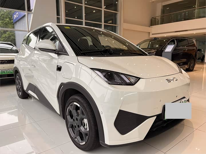 2026 BYD Seagull