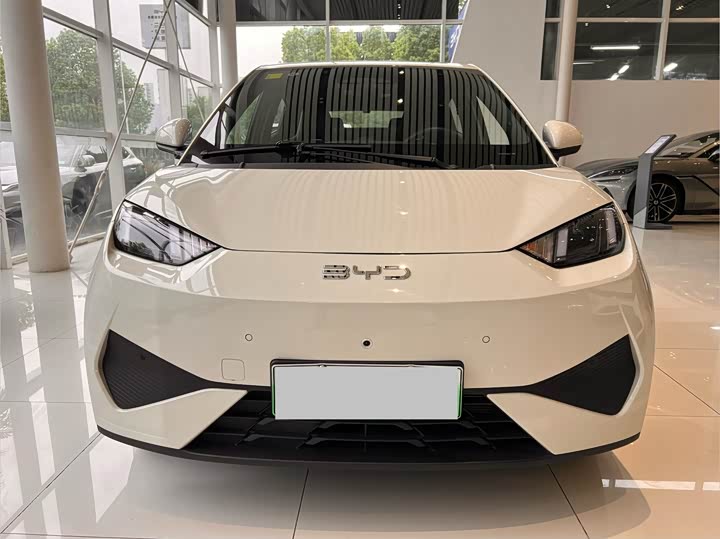 2026 BYD Seagull