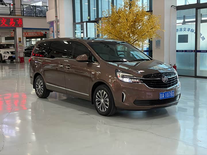Buick GL8 ES 2021 2021款 陆上公务舱 652T 豪华型