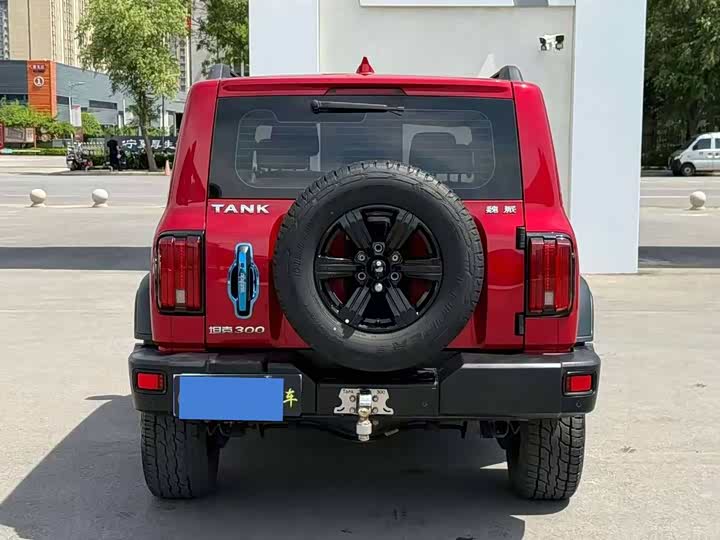 Zdjęcie 8 - Tank 300