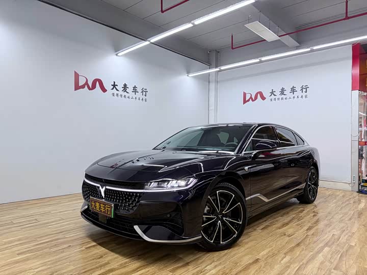Voyah Passion 2024 2024款 PHEV 四驱超长续航旗舰版