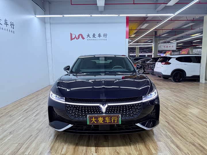 Voyah Passion 2024 2024款 PHEV 四驱超长续航旗舰版