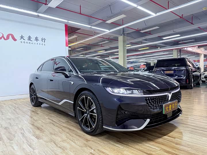 Voyah Passion 2024 2024款 PHEV 四驱超长续航旗舰版