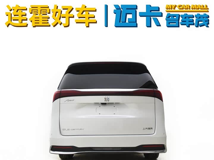 Фото 9 - Buick GL8 Century