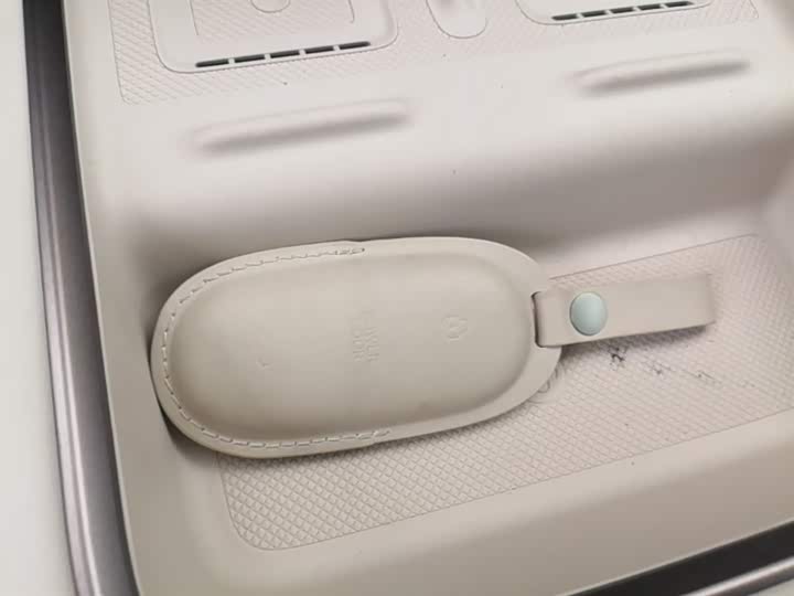 LiXiang Mega 2025 2025款 Home 家庭特别版