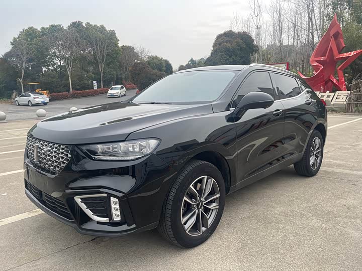 Wey VV5 2021 2021款 1.5T 两驱颜先锋