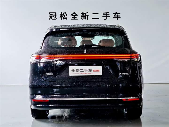 Фото 5 - Shangjie (Huawei × SAIC) H5