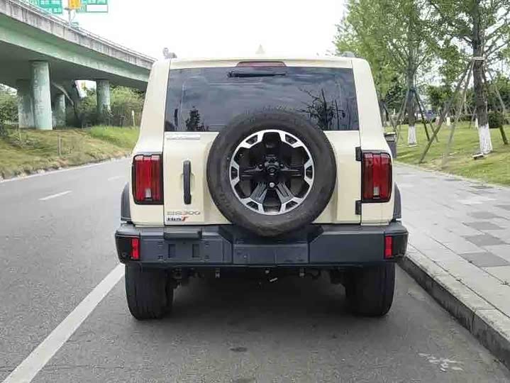 Tank 300 Hybrid 2025 2025款 Hi4-T 37.1kWh