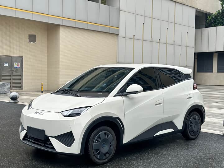 2025 BYD Seagull
