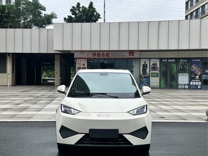 2025 BYD Seagull