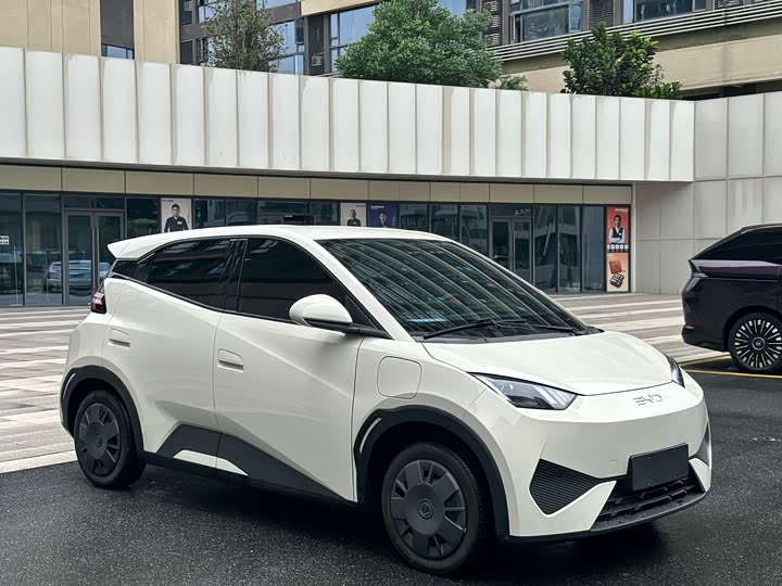 2025 BYD Seagull