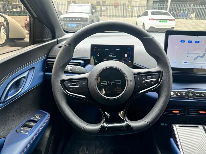 BYD Seagull 2025 2025款 智驾版 305km 活力版