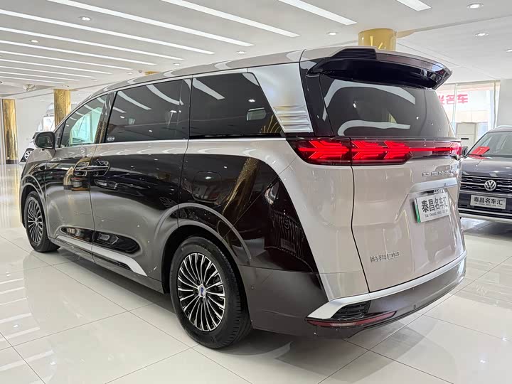 2025 Denza D9