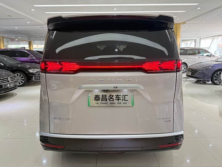 2025 Denza D9