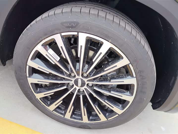 Photo 6 - Geely Monjaro