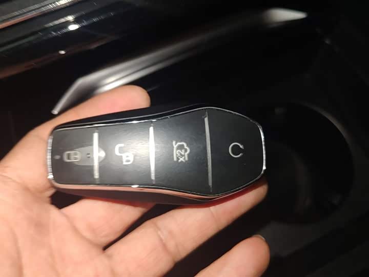 Фото 9 - BYD Tang Hybrid/EV