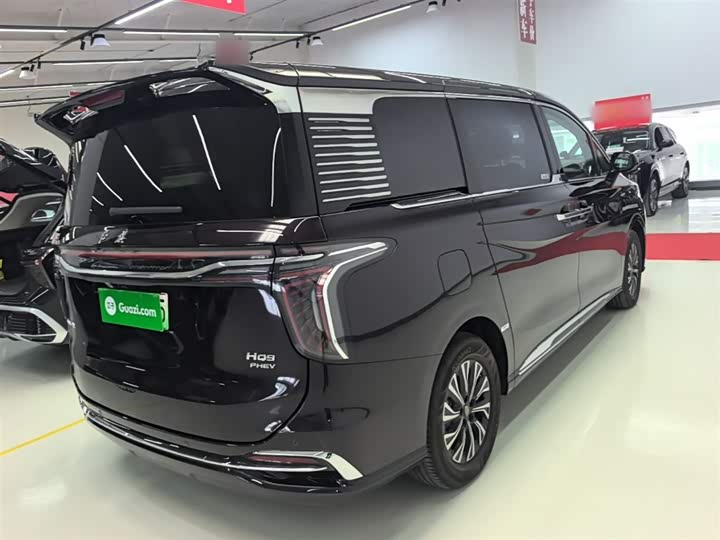 Фото 7 - Hongqi HQ9 Hybrid