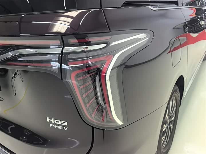Фото 8 - Hongqi HQ9 Hybrid