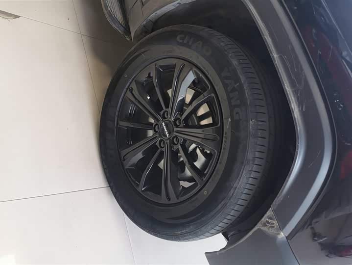 Haval Raptor Hybrid 2024 2024款 Hi4 102 Pro