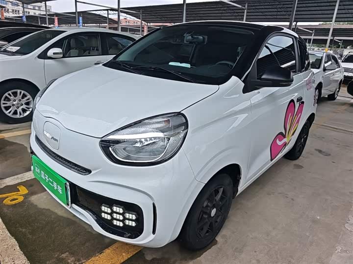 Roewe Clever 2022 2022款 311km元气啵啵版