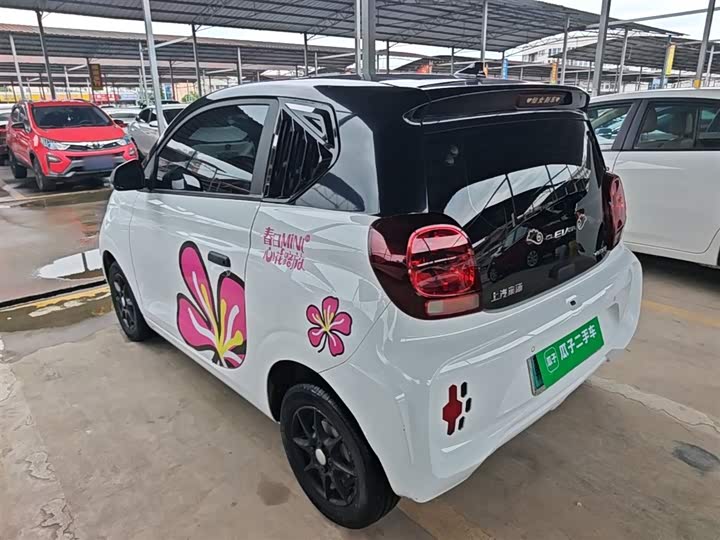 Roewe Clever 2022 2022款 311km元气啵啵版