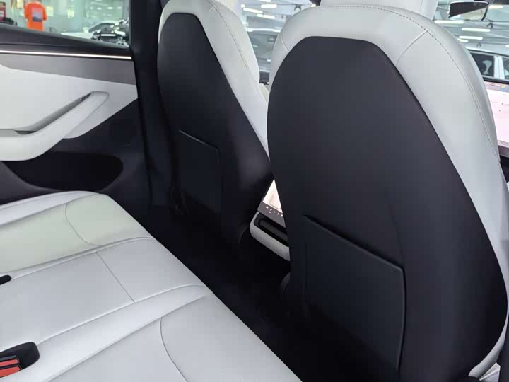 Tesla Model Y 2026 2026款 长续航后轮驱动版