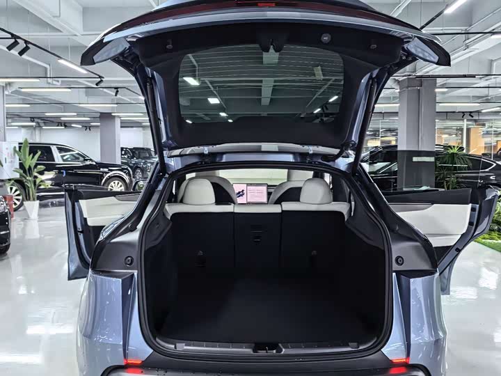 Tesla Model Y 2026 2026款 长续航后轮驱动版
