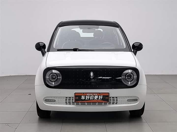 Ora Black Cat 2022 2022款 351km 舒适型 三元锂