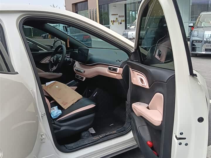 BYD Seagull 2025 2025款 305km 活力版