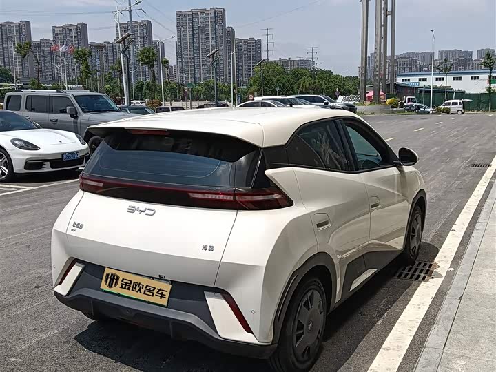 BYD Seagull 2025 2025款 305km 活力版