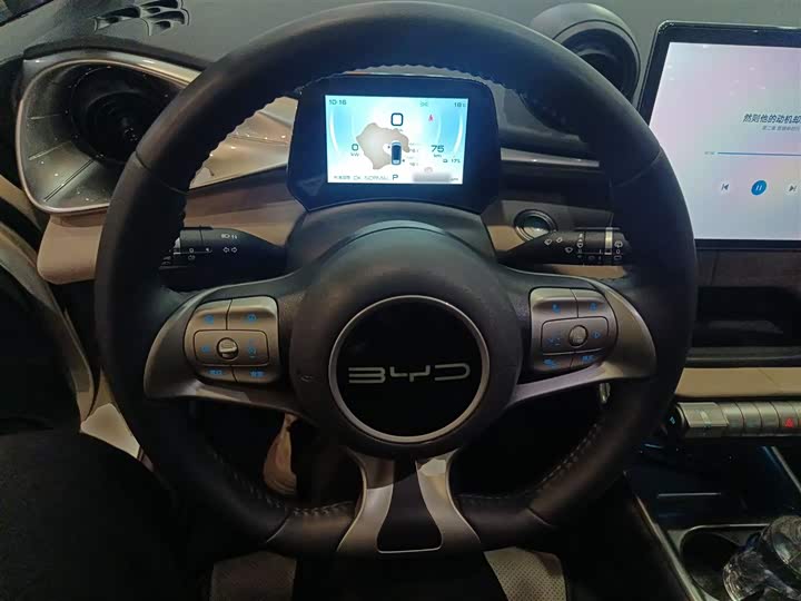Фото 7 - BYD Dolphin