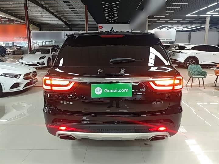 صورة 4 - Hongqi HS7
