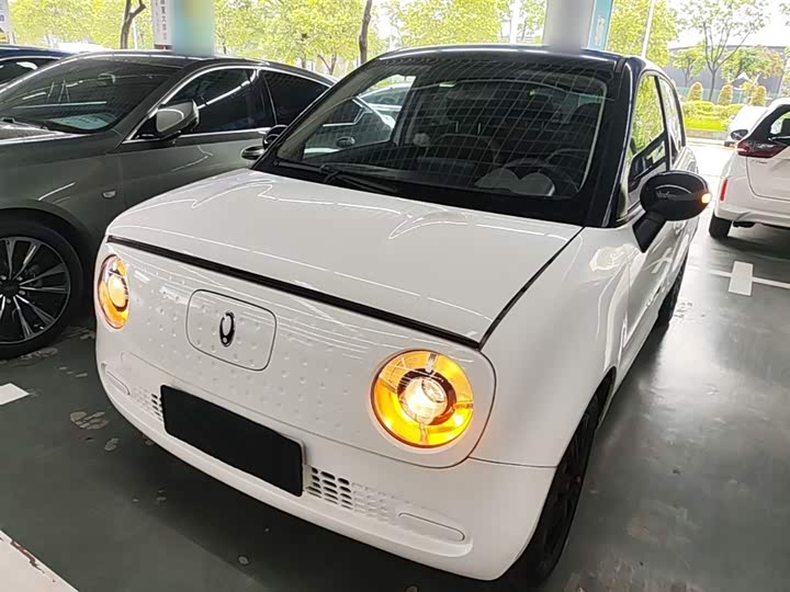 Ora Black Cat 2022 2022款 301km 萌宠版 磷酸铁锂