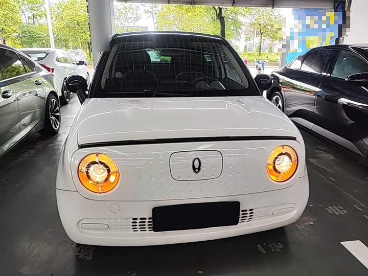 Ora Black Cat 2022 2022款 301km 萌宠版 磷酸铁锂