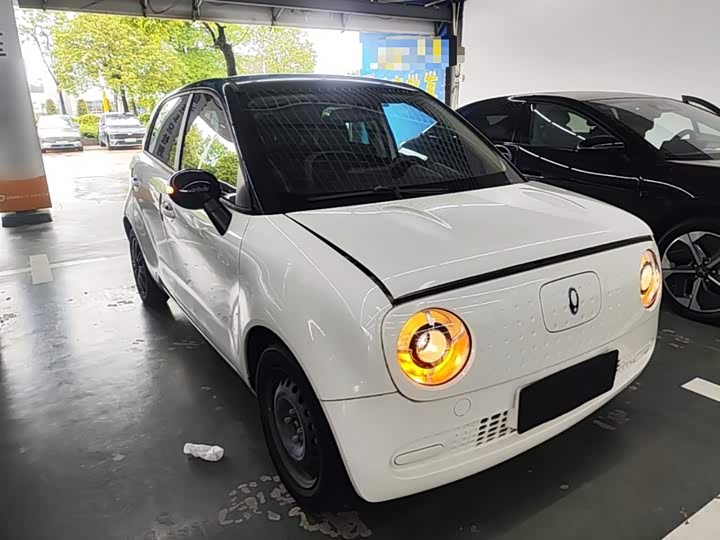 Ora Black Cat 2022 2022款 301km 萌宠版 磷酸铁锂
