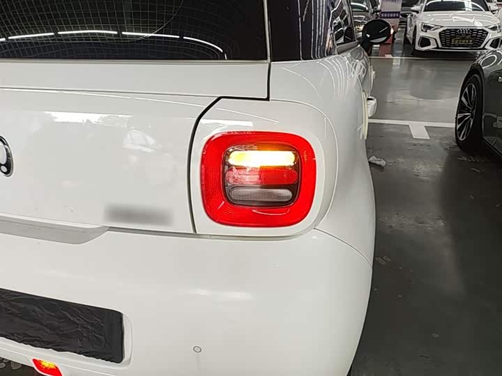 Ora Black Cat 2022 2022款 301km 萌宠版 磷酸铁锂
