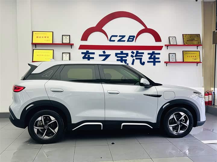 BYD Yuan Up 2024 2024款 401KM 领先型