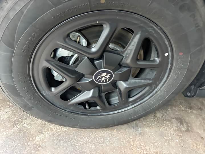 BYD Qin Plus 2025 2025款 DM-i 智驾版 55KM领先型