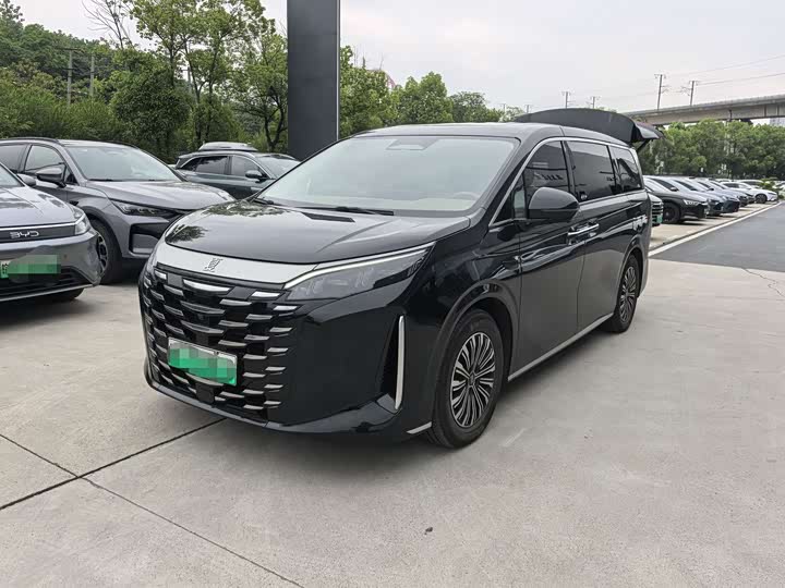 BYD Xia 2025 2025款 DM-i 1.5T 180km 卓越型