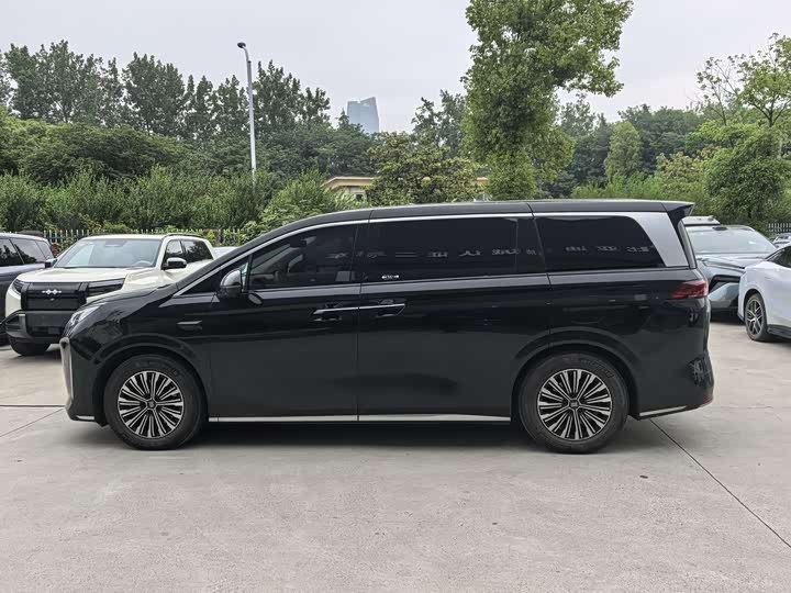 BYD Xia 2025 2025款 DM-i 1.5T 180km 卓越型