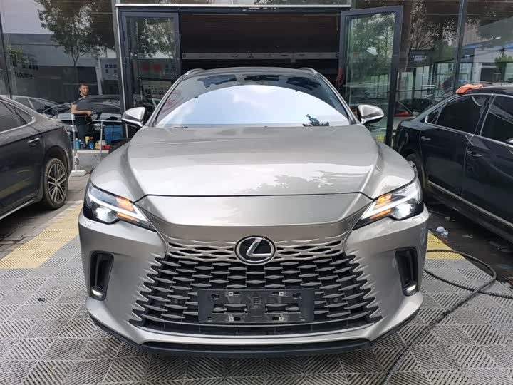 Lexus RX 2023 2023款 350h 两驱舒享版