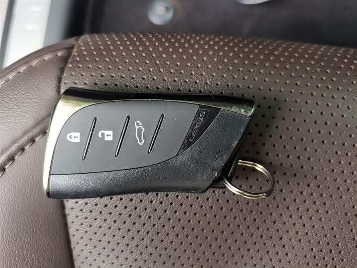Lexus RX 2023 2023款 350h 两驱舒享版