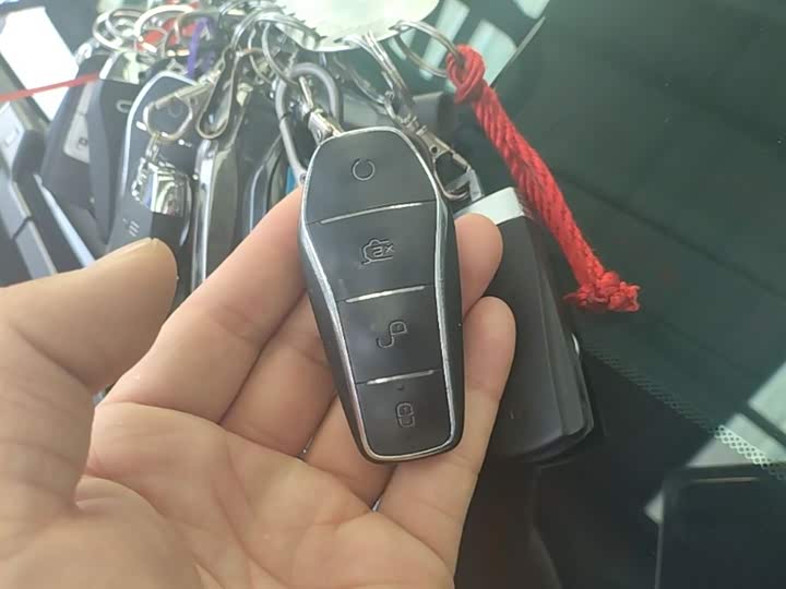 BYD Song Pro Hybrid 2026 2026款 DM-i 133KM进取型