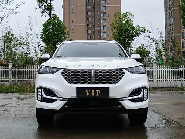 Wey VV6 2021 2021款 2.0T 两驱智护+