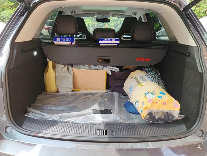 MG Motor Pilot Hybrid 2021 2021款 Trophy系列 1.5T 混动Trophy尊享版