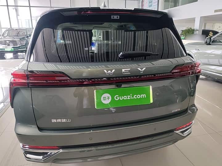Wey Lanshan 2025 2025款 四驱 Max