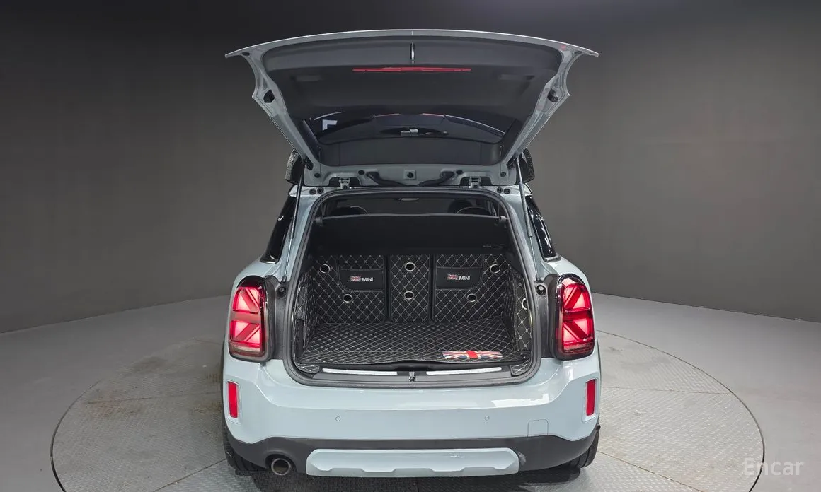 Mini Countryman 2011 Untamed Edition