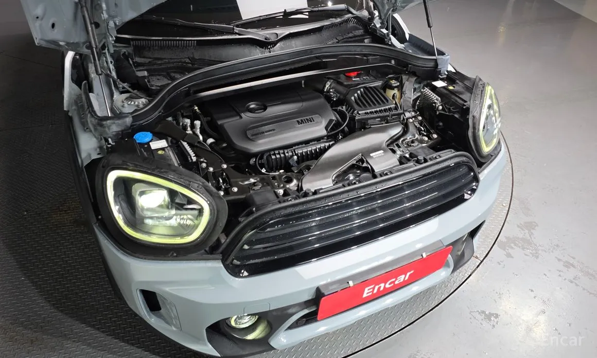 Mini Countryman 2011 Untamed Edition